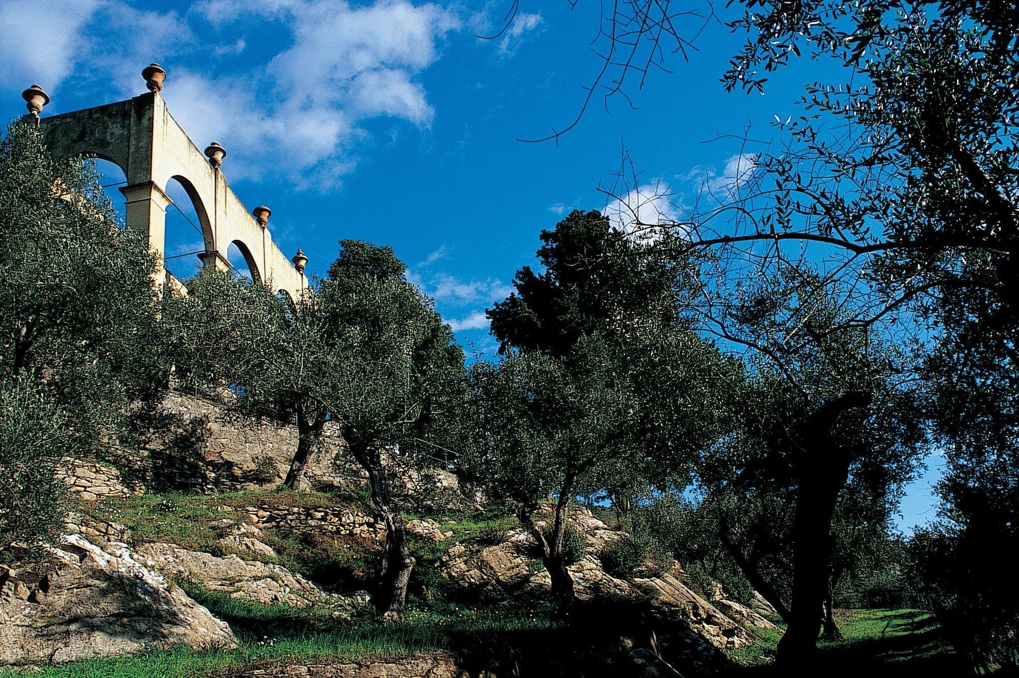 Bagni Di Pisa Palace & Thermal Spa - The Leading Hotels Of The World San Giuliano Terme Facilities photo Olive trees in the hills of Andalusia